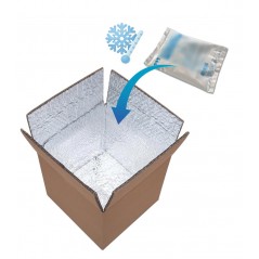 carton isotherme avec pack de glace