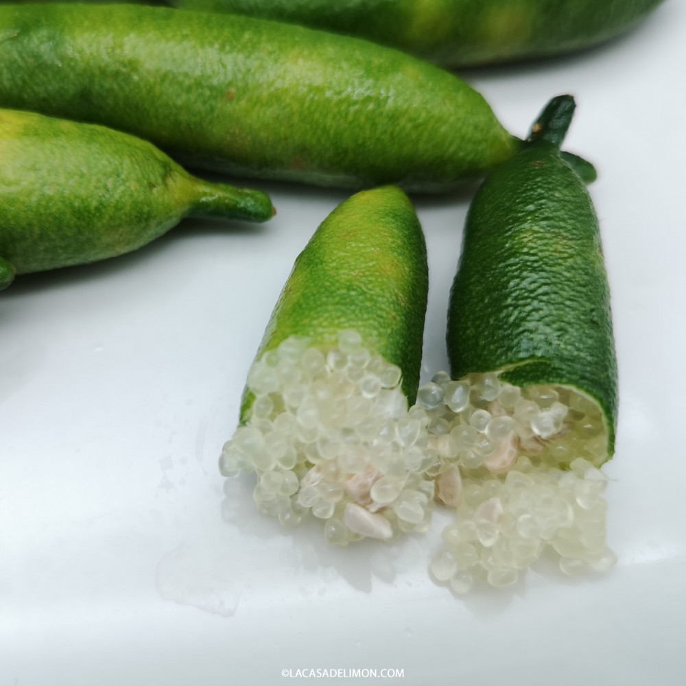 Tasty Green Seed Fingerlime