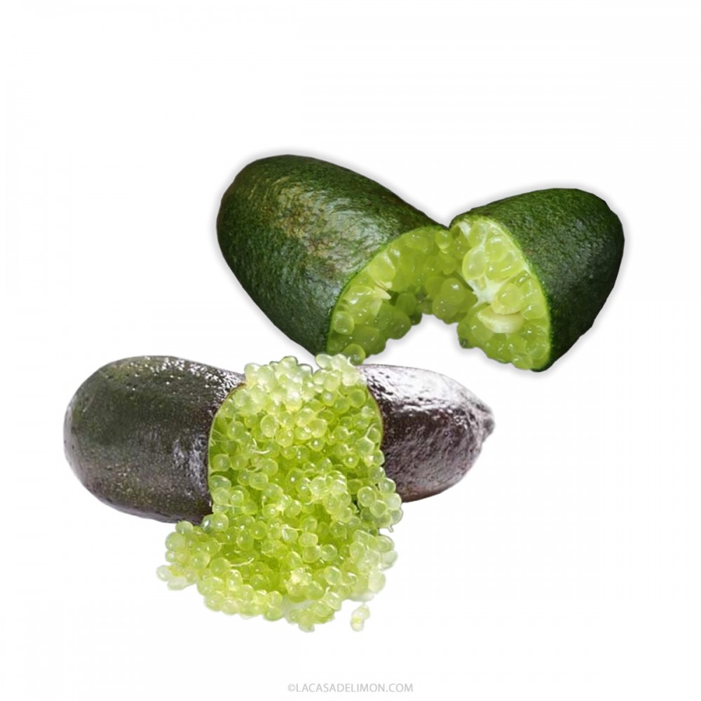 Lemon Caviar VERDE-LUZ - Fruit