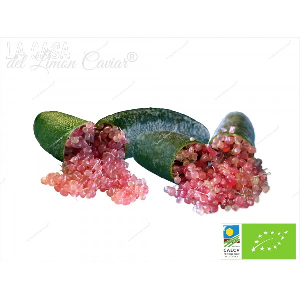 Lemon Caviar fingerlime SLICE-ICE