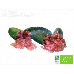 Lemon Caviar fingerlime SLICE-ICE