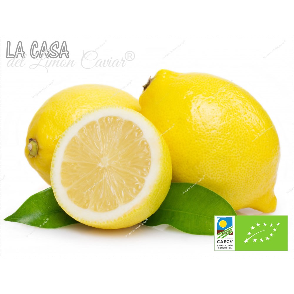 Organic Lemon yellow EUREKA