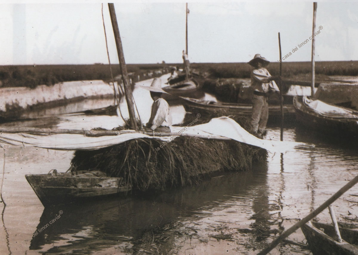 Albufera Valencia