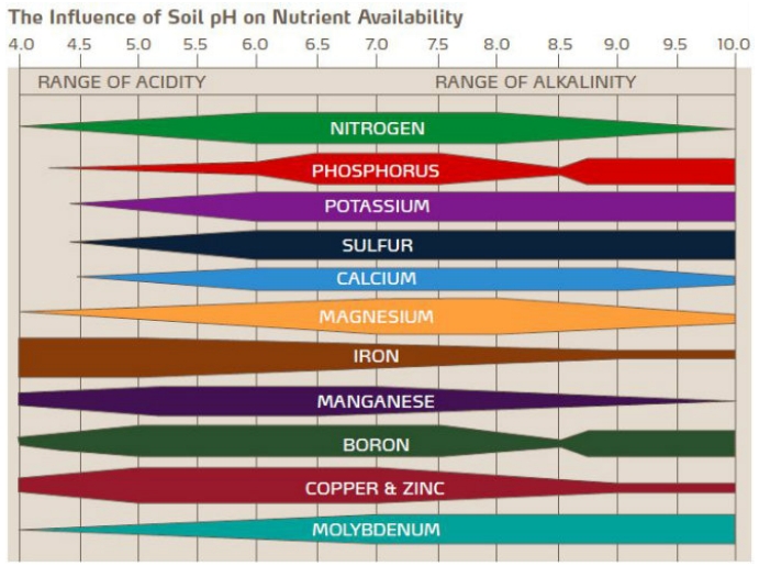 pH and nutrient