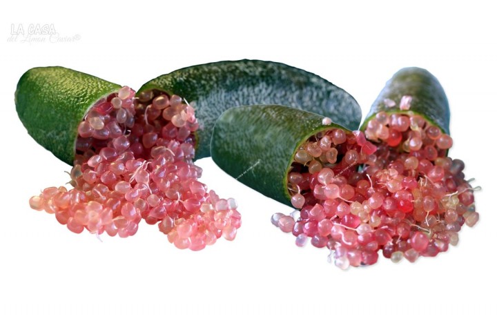 Caviar Citrico SLICE-ICE fingerlime