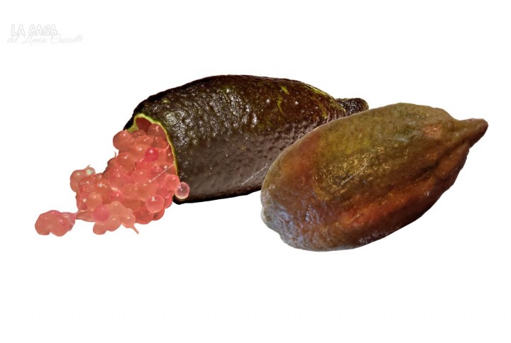 Caviar citrico SUN-ROJO finger lime