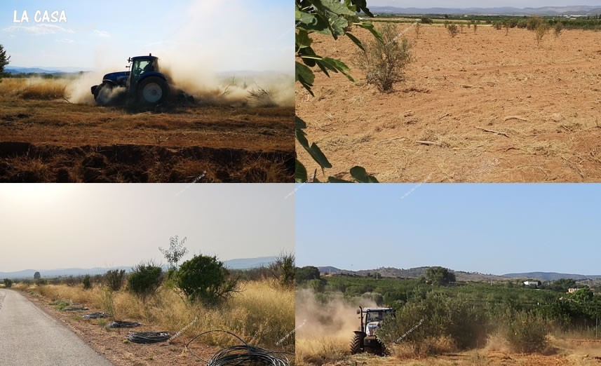 Working in Field N2