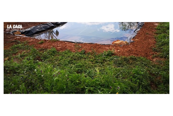 Algunas noticias de nuestra plantación Algunas noticias de nuestra plantación
