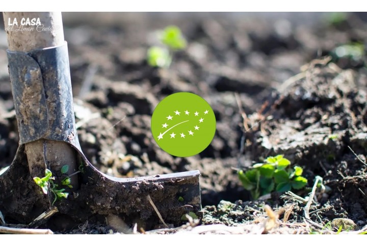 ¿En qué consiste la agricultura ecológica?  ¿En qué consiste la agricultura ecológica?