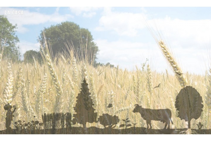 la AgroEcología?  la AgroEcología?