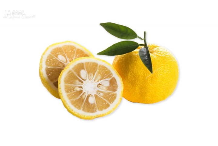 YUZU una fruta especial