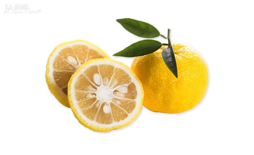 Citron Avec Un Goût Frais Et Agrumes Comme Une Perle Jaune