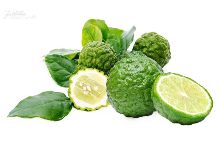 El Citrus hystrix o Combawa