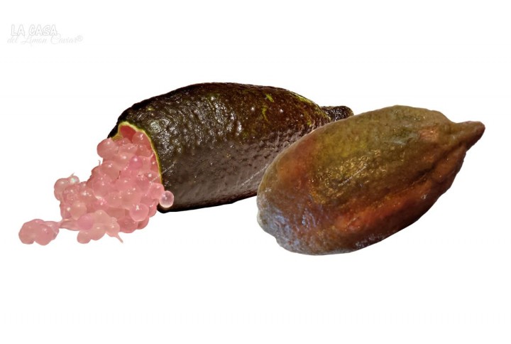 Caviar Citrico SUN-ROSA | caviar citrico comprar