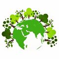 En tant qu'individu, agir contre le réchauffement climatique, c'est par exemple :
⏩Diminuer sa consommation de chauffage, surtout fioul et gaz.
⏩Parcourir moins de kilomètres en voiture, préférer le train.
⏩Ne plus prendre l'avion pour des loisirs, ni les paquebots croisières. 
⏩Manger plus de légumes et moins de viande (diminuer des 30% au moins), favoriser les légumineuses  et fruits. 
⏩Adopter le zéro déchet, en recyclant au maximum. 
⏩Acheter moins de choses et les garder longtemps.
⏩Passer aux énergies renouvelables.
⏩Penser pour tout "Économie d'eau". 
⏩Penser "Local" avant tout. Et se satisfaire de ce que l'on a. 
⏩Et estimer ainsi participer à la limitation des disparitions des espèces annoncées et déjà en marche. 
...