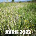 On parle sécheresse : 2 images du même endroit de notre champ (partie non cultivée) , l'année dernière et cette année. Voilà tout est dit, la sécheresse n'est pas qu'une carte météo !🥵

Estamos hablando de sequía: 2 imágenes del mismo lugar en nuestro campo (parte no cultivar), el año pasado y este año. Todo está dicho, ¡la sequía no es solo un mapa del tiempo!🥵

#Sécheresse
#Sequia
#lacasadelimon
#citroncaviar
#caviardelimon